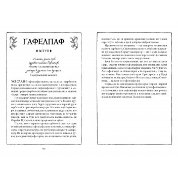 Гаррі Поттер і таємна кімната. Гафелпафське видання