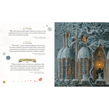 Гаррі Поттер: Магічний рік. Велике ілюстроване видання